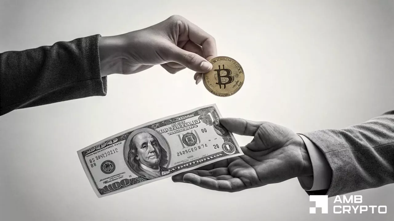Bitcoin's Identity Crisis: The Growing Gap Between Network Utility and Speculative Price