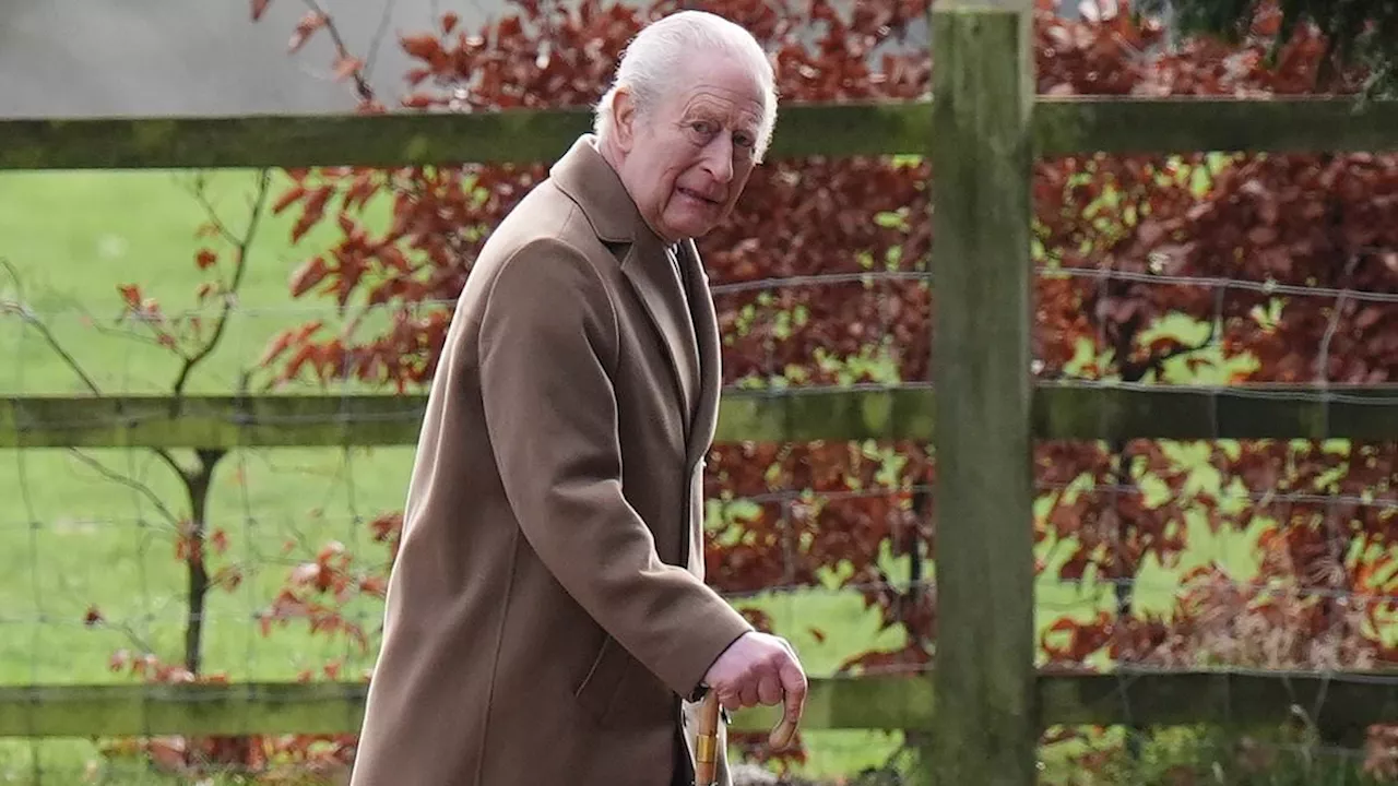 The Royal Rodent Dilemma: Cat Bans and Vermin at Sandringham