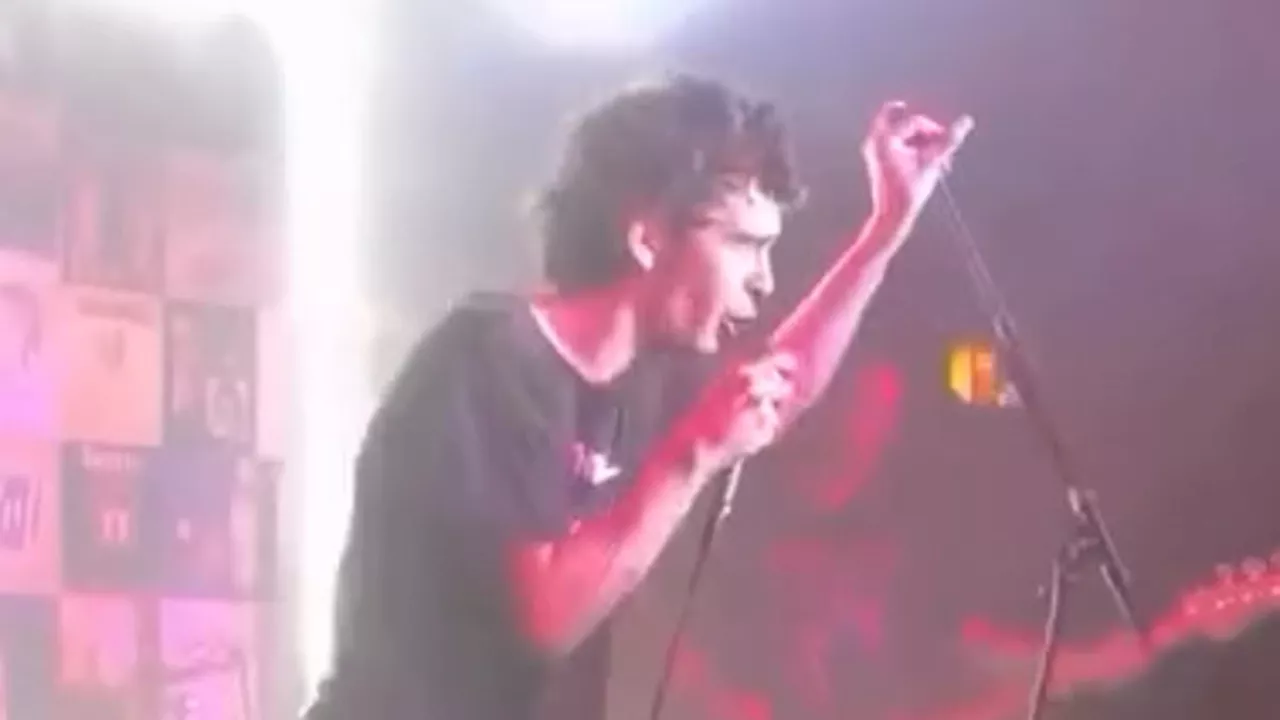 Matty Healy's Hollywood Nuptials: From Tribute Acts to £100k Guest Flights