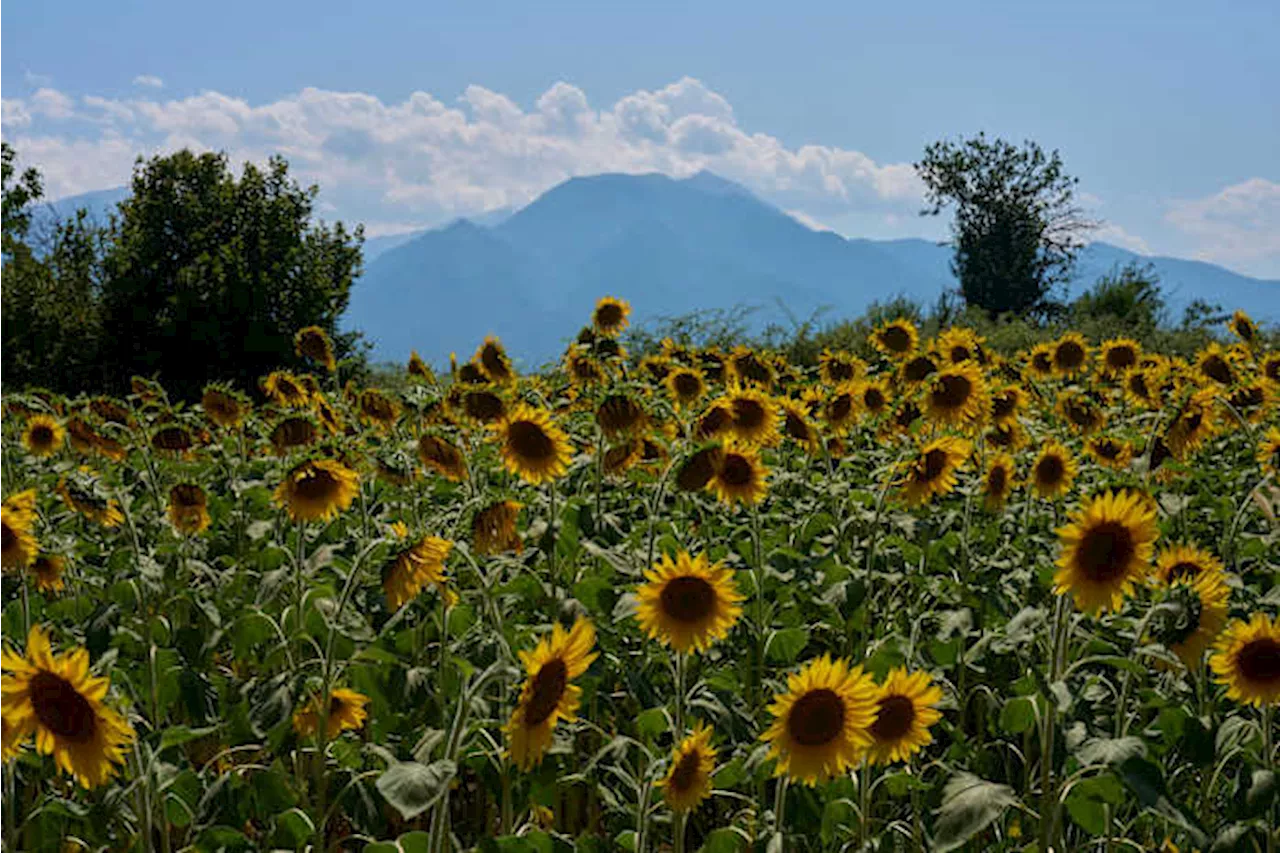 Olympus Ascending: The High-Stakes Bid for UNESCO Status