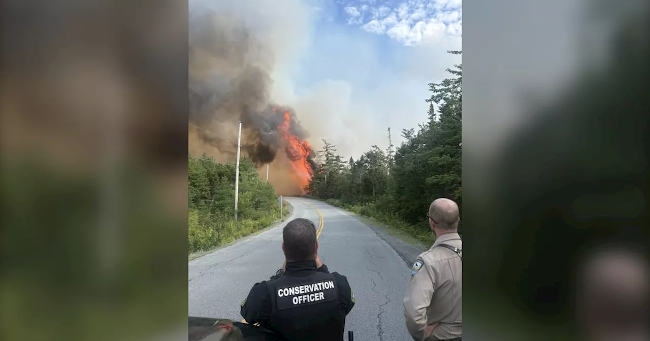 Nova Scotia Fires, EU Tech Wars, and the Gordie Howe Bridge Dispute