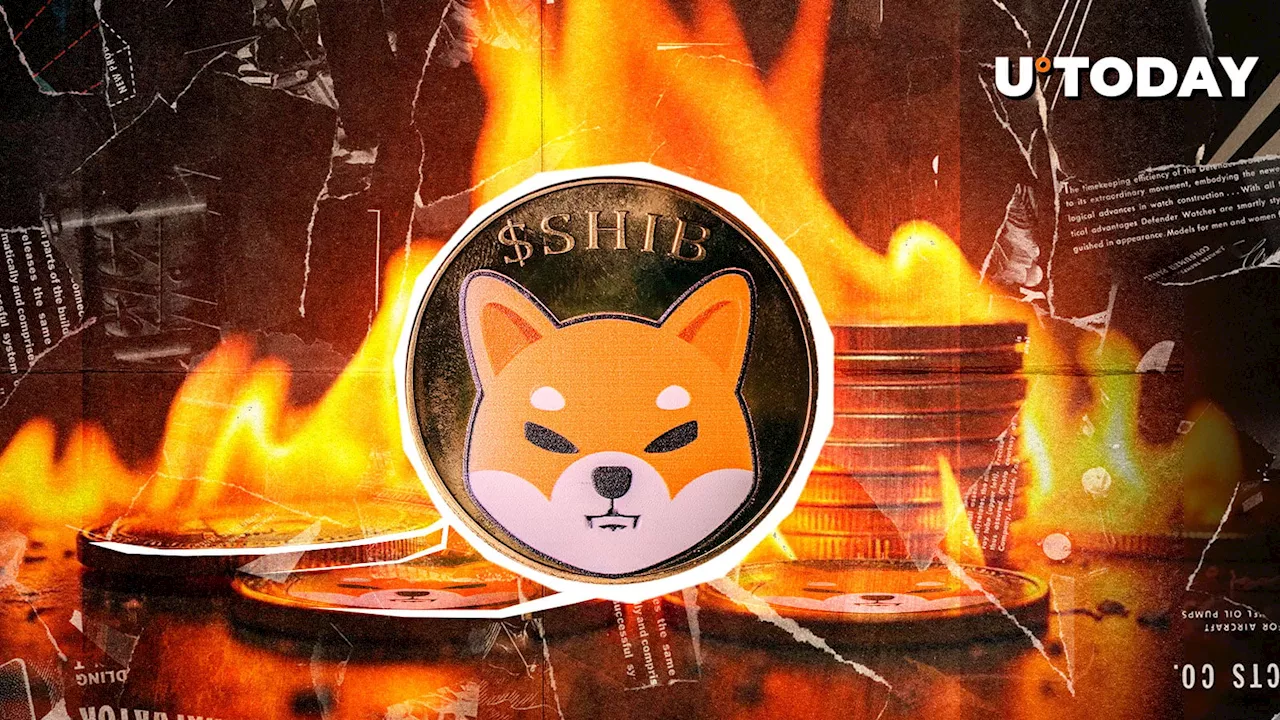 Shiba Inu’s Deflationary Surge Meets Japan’s Regulatory Pivot