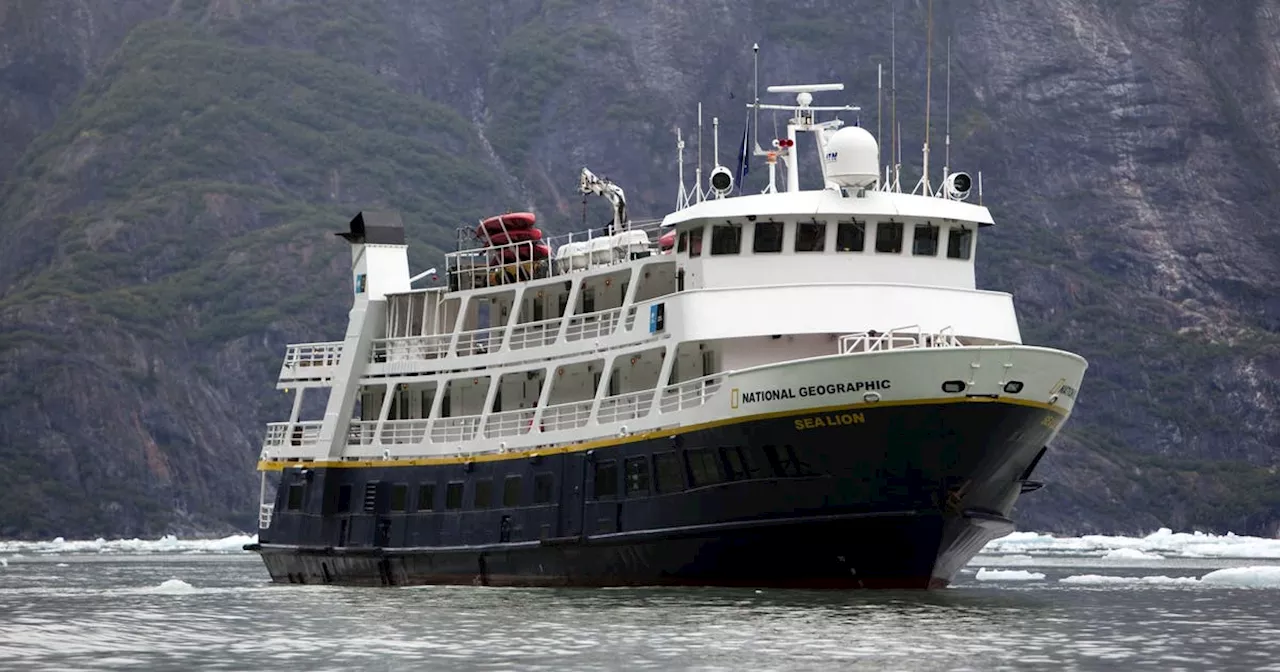 Boutique Luxury, Common Bacteria: The National Geographic Sea Bird's Health Crisis