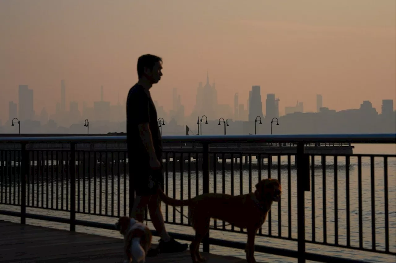 The Toxic Veil: How Wildfire Smoke is Redefining Continental Public Health