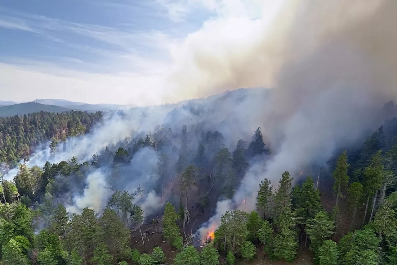 Ontario Air Quality Alert: Wildfire Smoke Blankets Northern Regions
