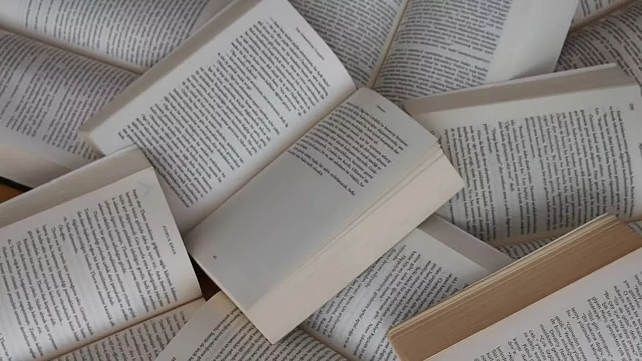 Beyond the Novel: Four Masterpieces to Finish in a Single Day