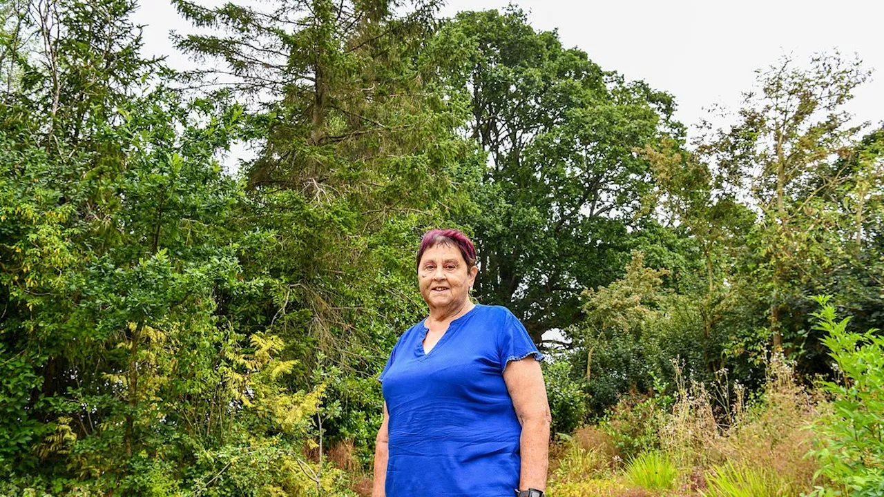 The £58,000 Stand: A Widow's Fight to Save a 500-Year-Old Oak