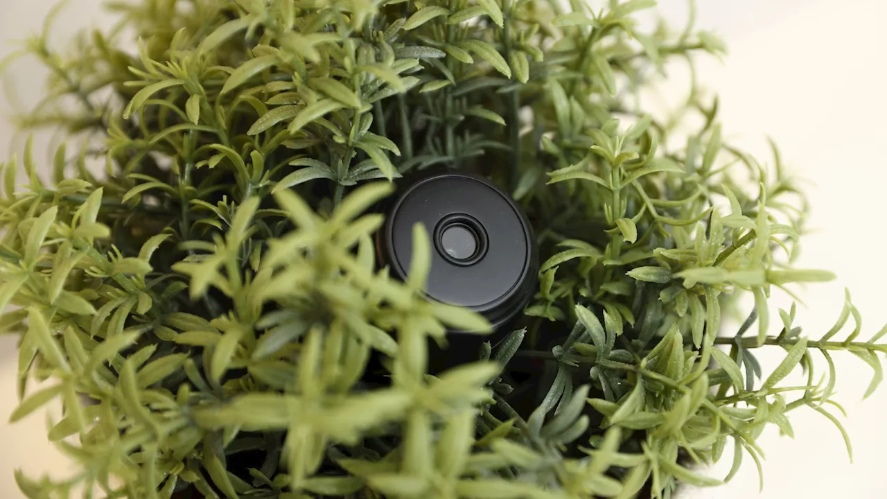 The Spy in Your Socket: How Common Gadgets Become Covert Cameras
