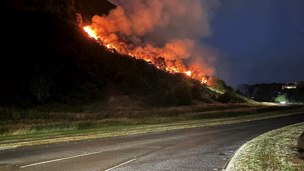 Britain’s Tinderbox Summer: 250 Wildfires and the Fight for Water