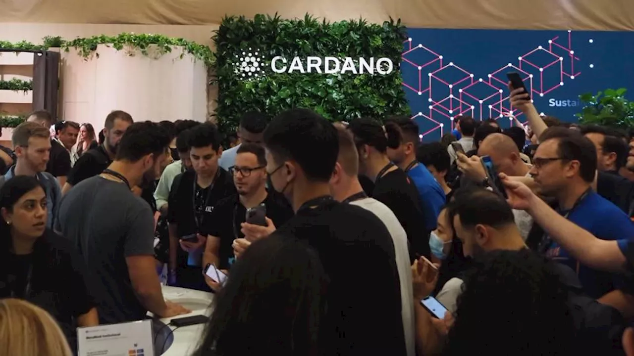 Cardano's Van Rossem Fork: A High-Stakes Shift from Founder Control to Community Rule