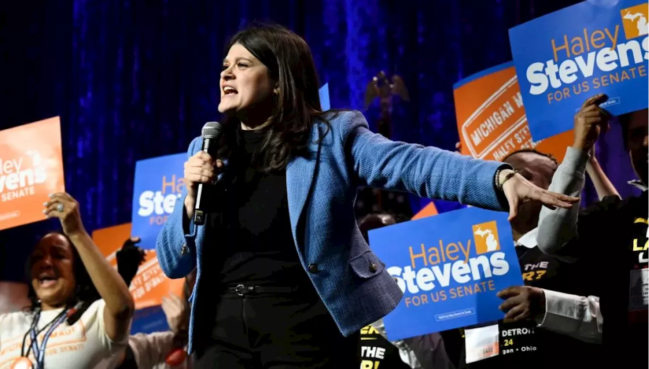 Michigan's Senate Primary: A High-Stakes Battle for the Black Vote