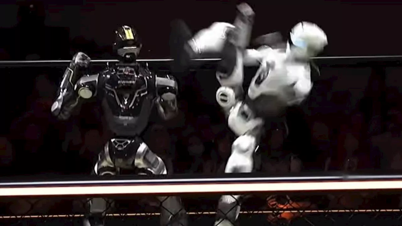 The Headless Victor: What Shenzhen's Robot Combat Reveals About AI Safety