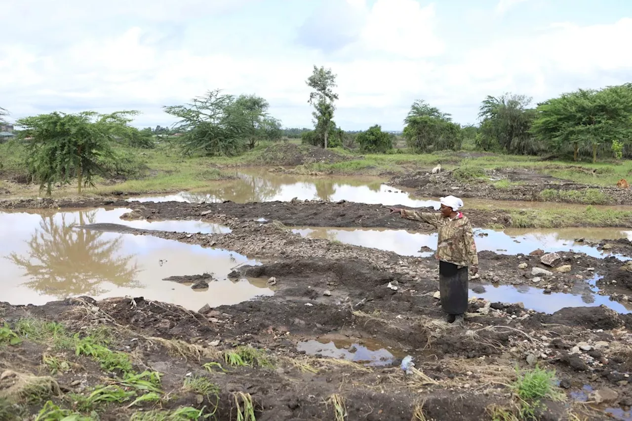 The $100 Billion Import Trap: Why Global Conflict and Energy Volatility Threaten Food Security