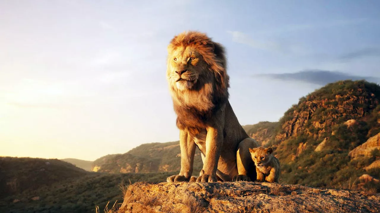 Favreau's Feline Obsession: From $1.6 Billion CGI to Hulu's New Docu-series