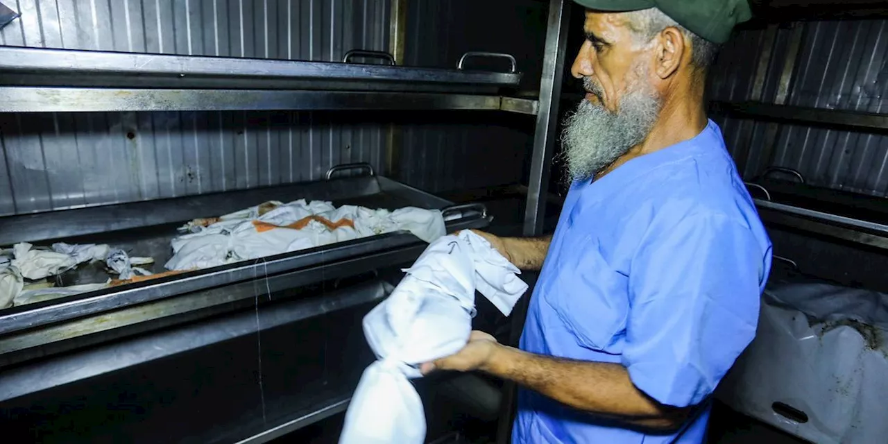 The Biological Cost of War: 4,000 Miscarriages Reported in Gaza