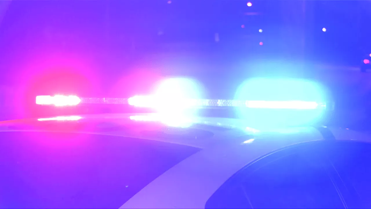 Suburban Shield Shattered: Kane County Busts Multi-City Prostitution Ring