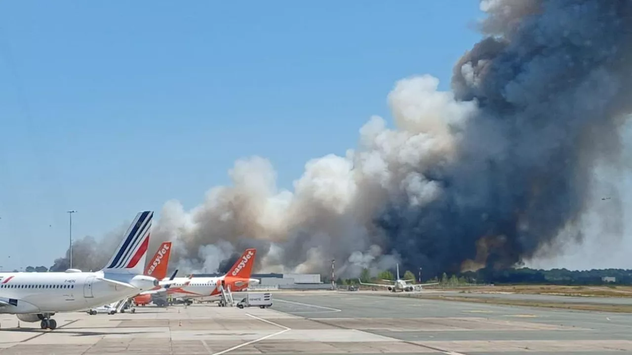 Europe's Wildfire Crisis: Fatal Blazes and the 50°C Heat Threat