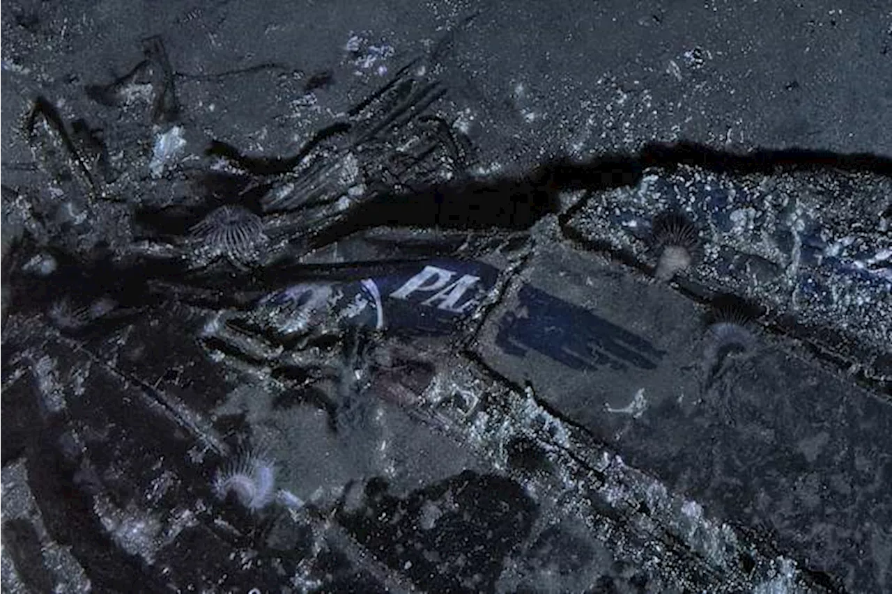 The 74-Year Search for Pan Am 151: How a Mine-Hunting Drone Found the Clipper Endeavor