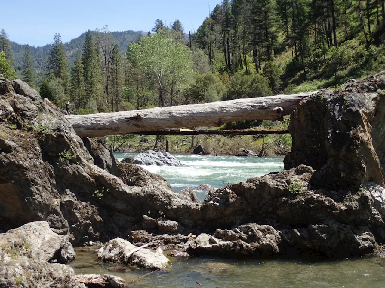 The Deadly Trinity: Why Recent Drownings in Humboldt County Signal Rising River Risks