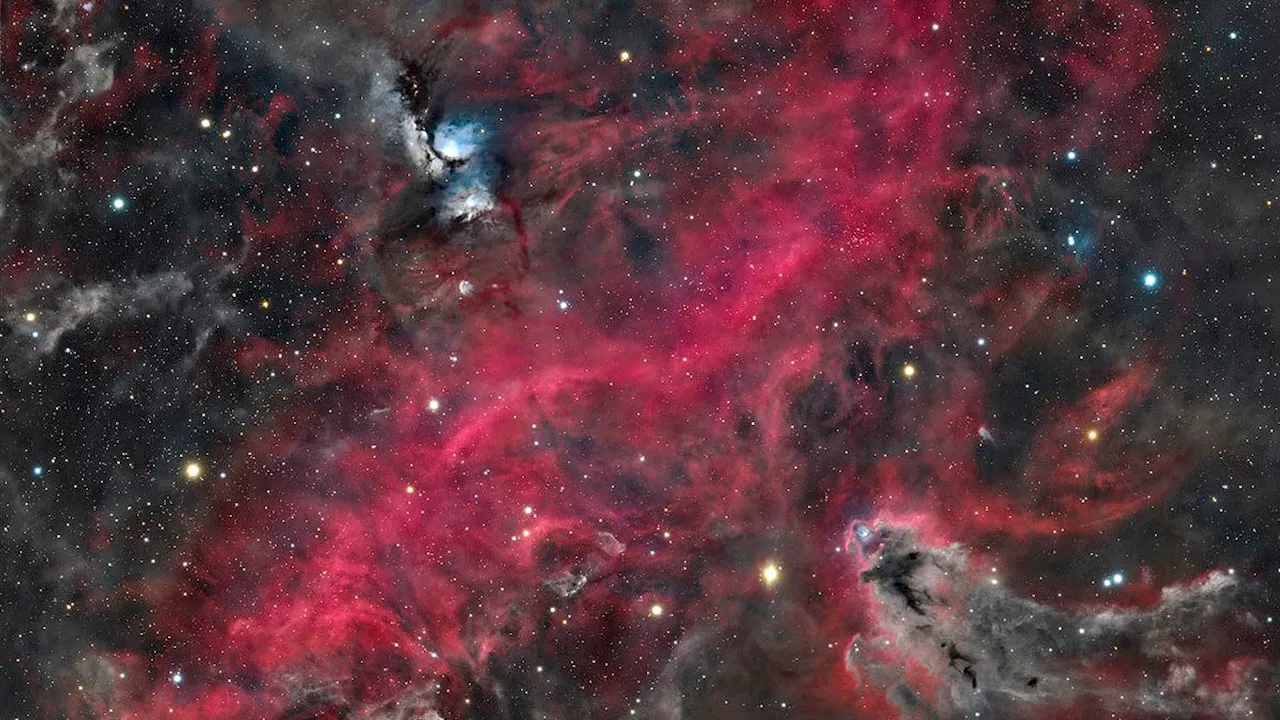 Beyond the Lens: Celebrating the David Malin Astrophotography Winners