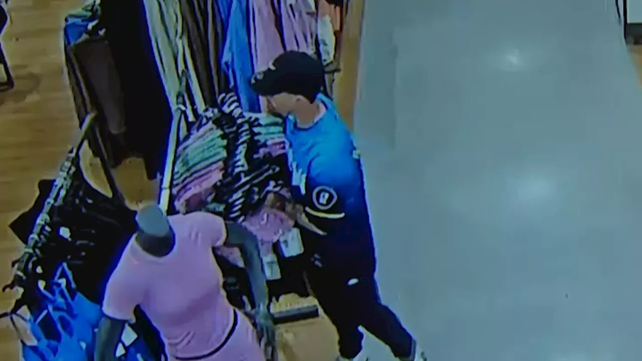 The $16,000 Phillies Jersey Spree: Inside the Multi-County Theft Ring