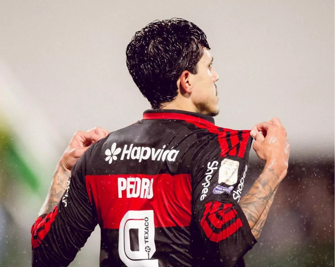 Pedro's Scoring Surge and De Arrascaeta's Return Fuel Flamengo's Title Charge