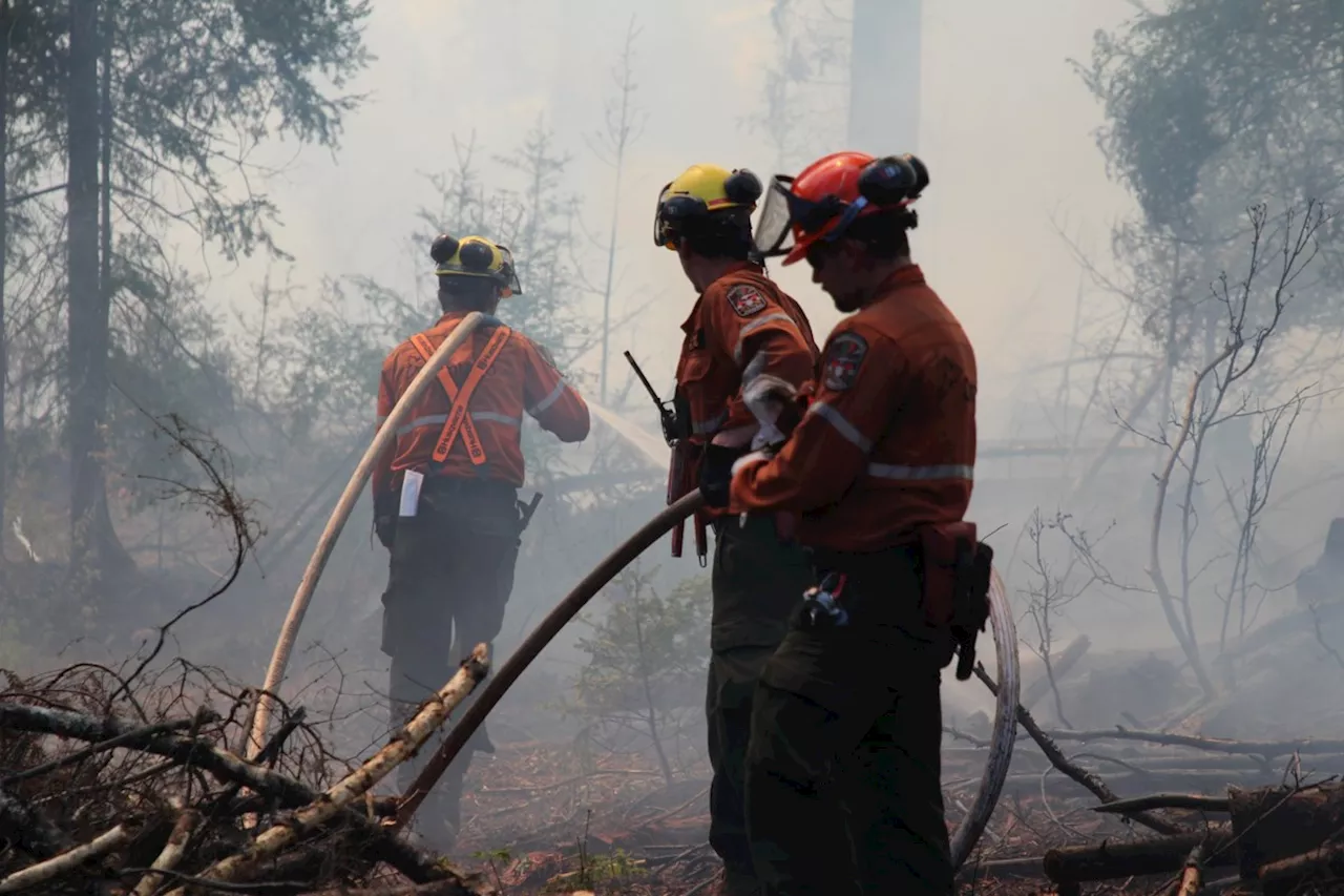 Ontario's Northeast Fire Count Hits 41 as New Blazes Emerge