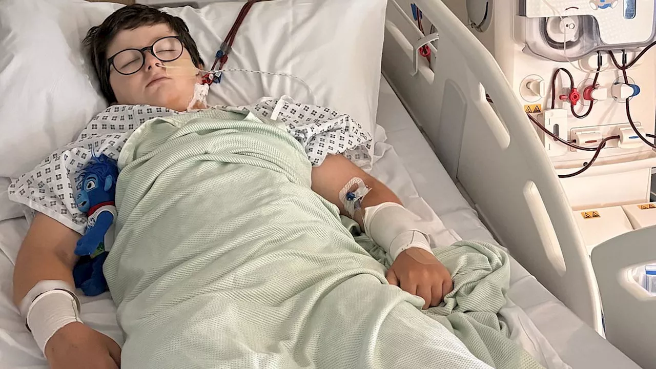 Egypt Holiday Nightmare: 10-Year-Old Fights Kidney Failure After E. Coli Infection