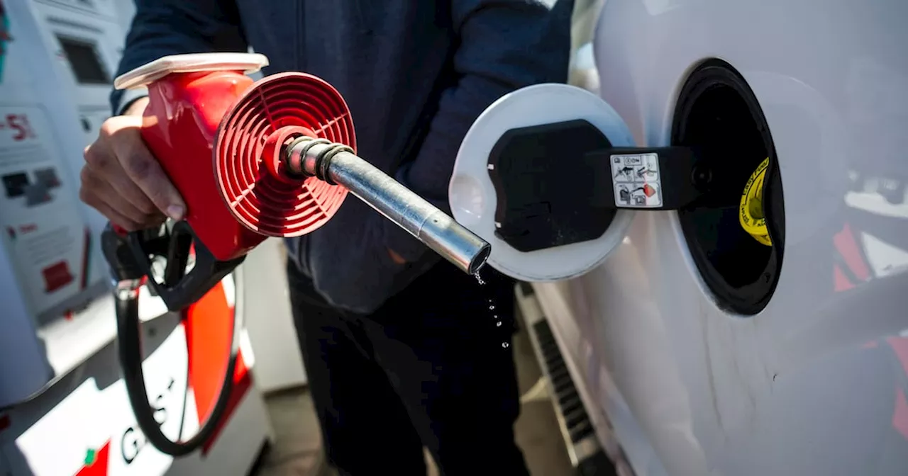 Resilience in the Aisles: Canadian Consumers Defy Economic Headwinds