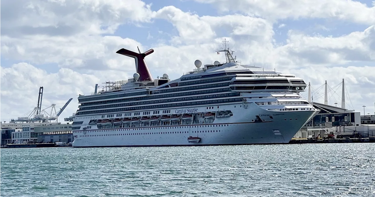 Fork in the Road: Viral Hygiene Horror Aboard the Carnival Sunrise