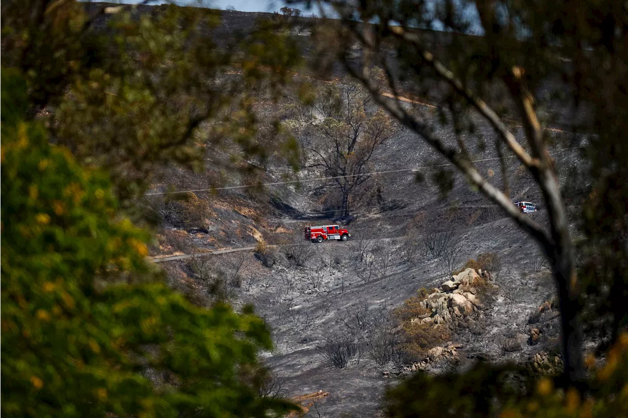 Ramona's Narrow Escape: The Aftermath of the Creelman Fire
