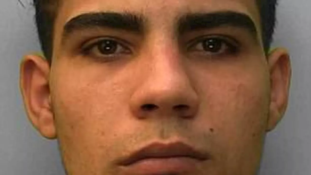 Convicted Rapist Karam Majdi Fights Egypt Deportation With Bisexuality Claim