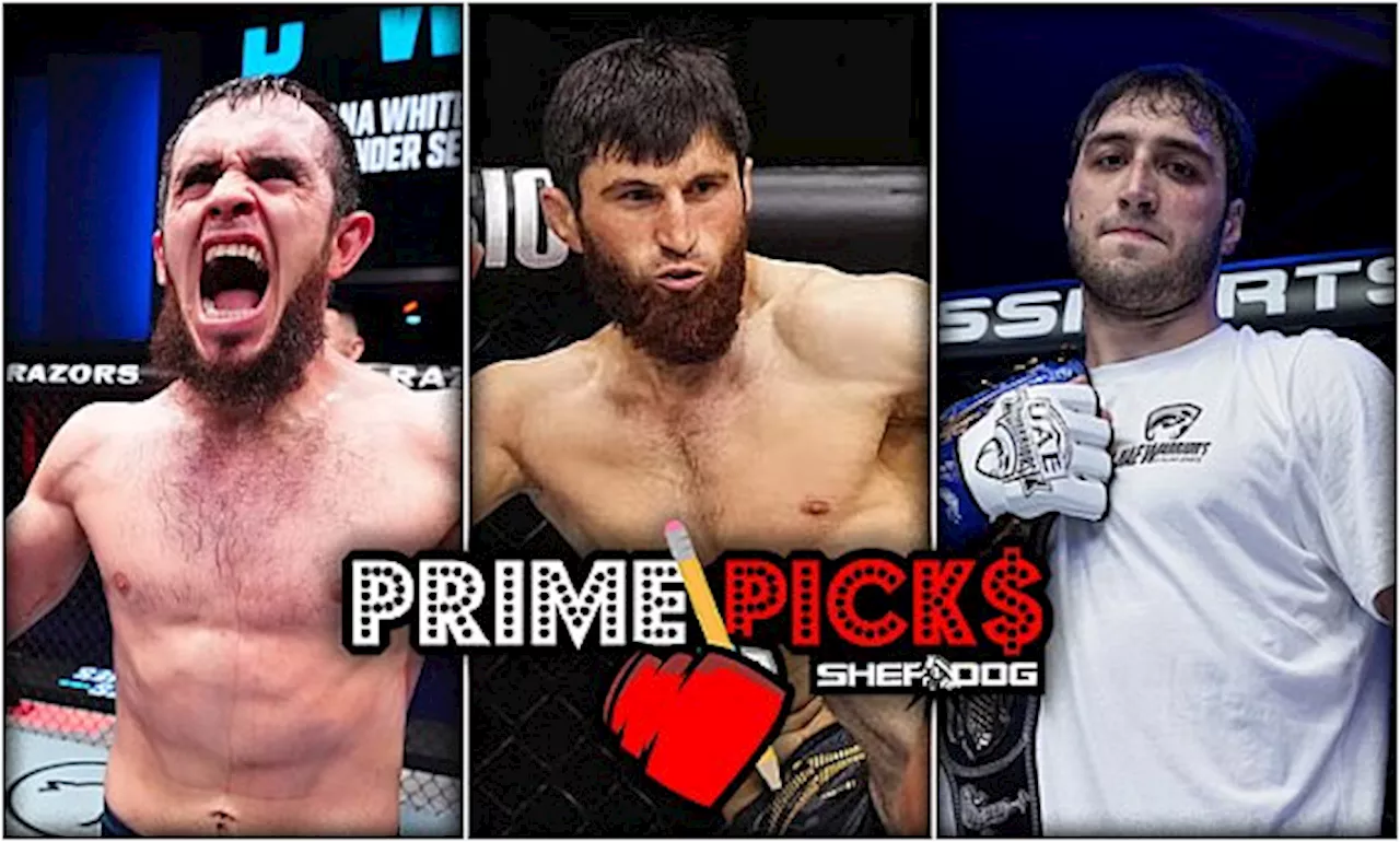 The Magomed Multiplier: Navigating the Betting Lines for UFC Fight Night 282