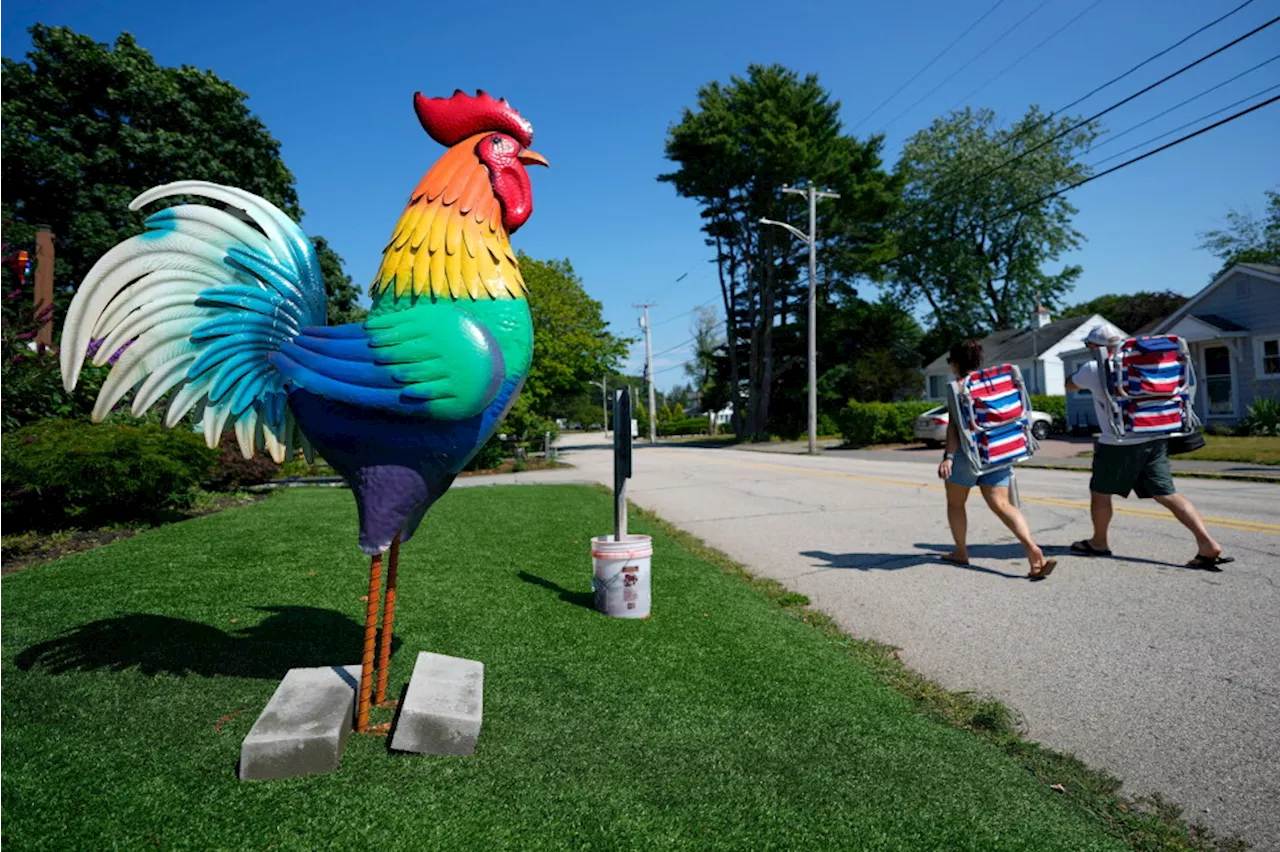 Roosters of Resistance: A Maine Town's Battle Over Autism and Inclusion