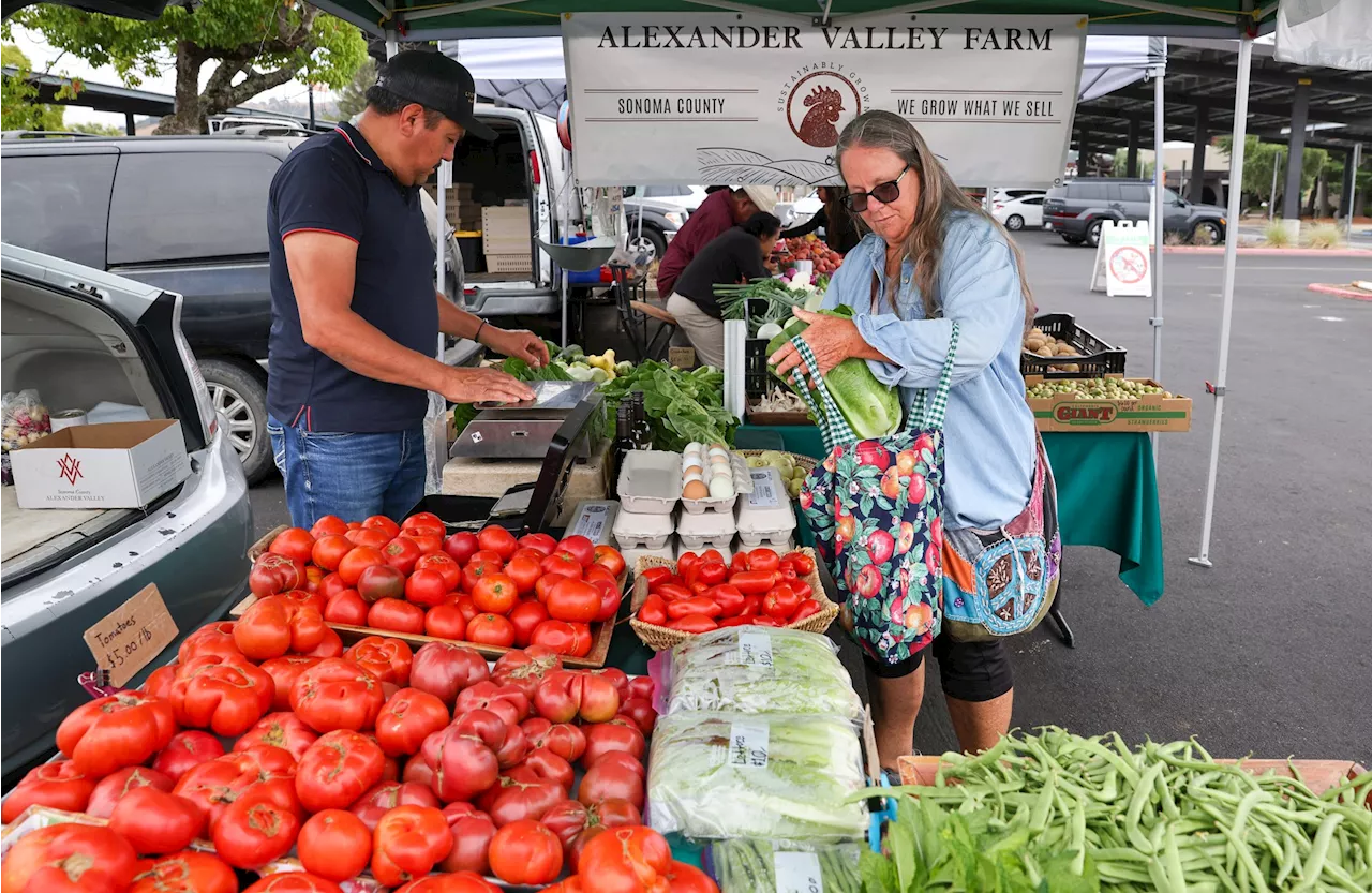 Beyond the Bagged Lettuce: Why Sonoma County is Turning to Local Stalls