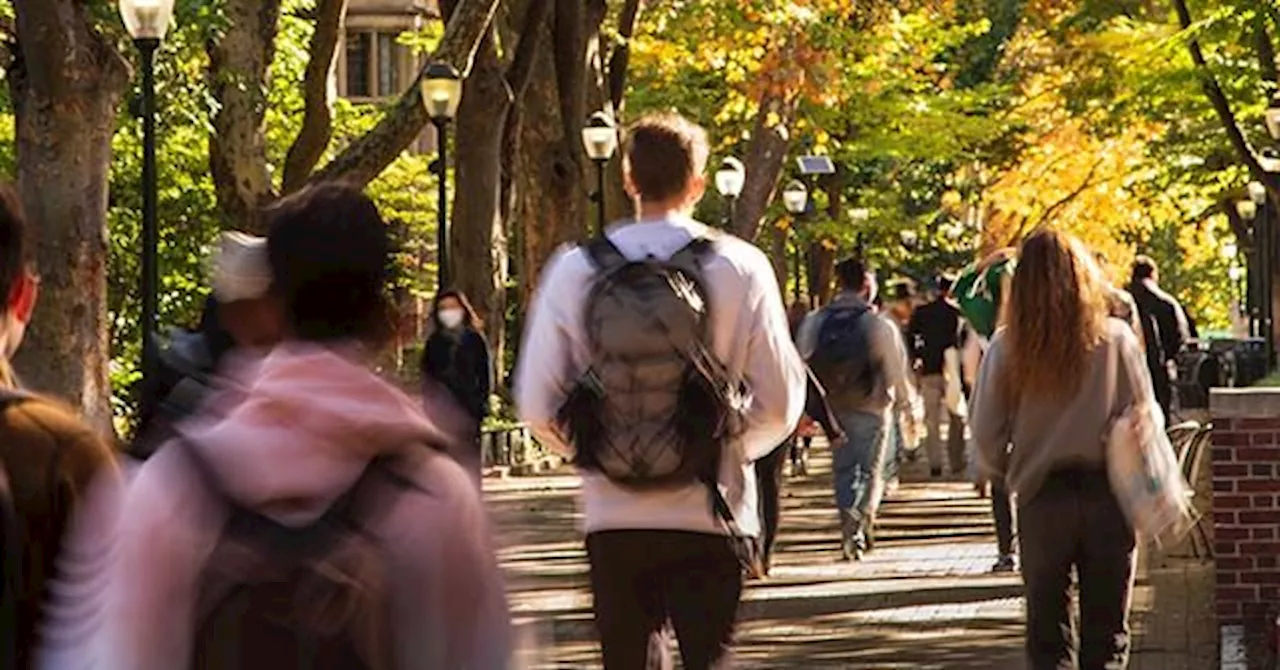 Ghost Students and AI: Inside the US Treasury's Warning on Student Aid Fraud
