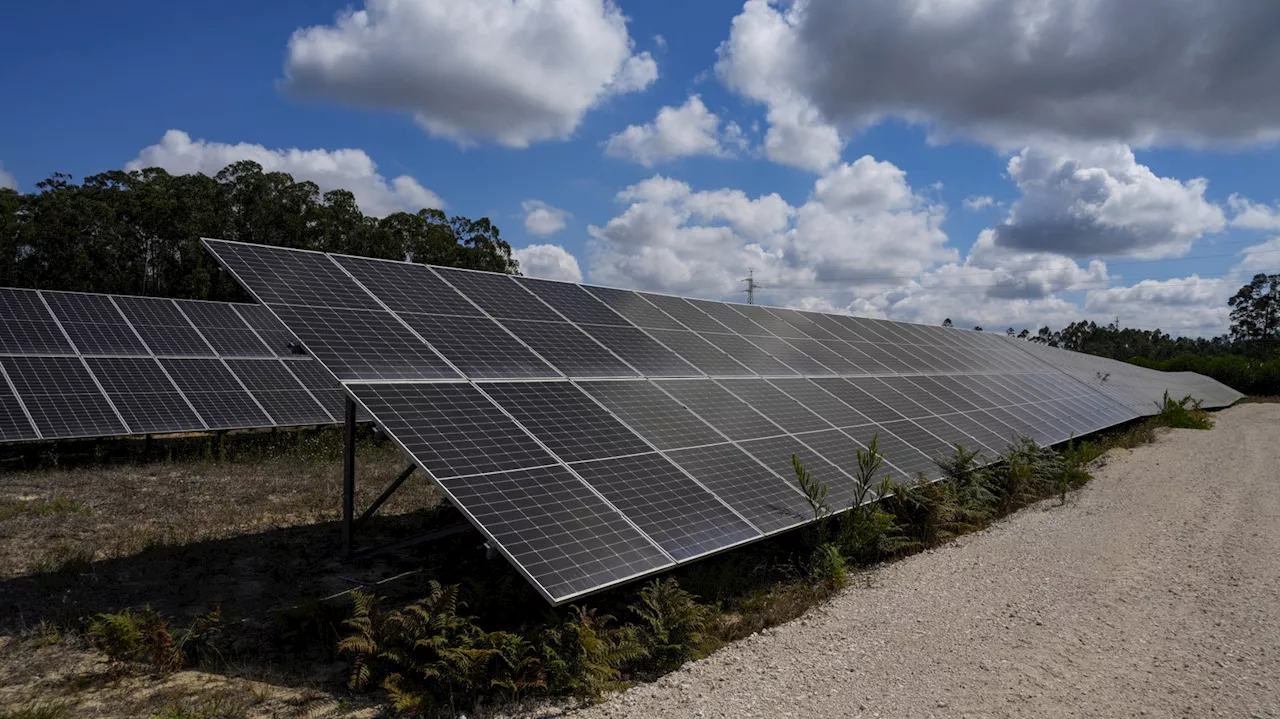 Beyond the Silicon Slab: The New Era of High-Efficiency, Flexible Solar