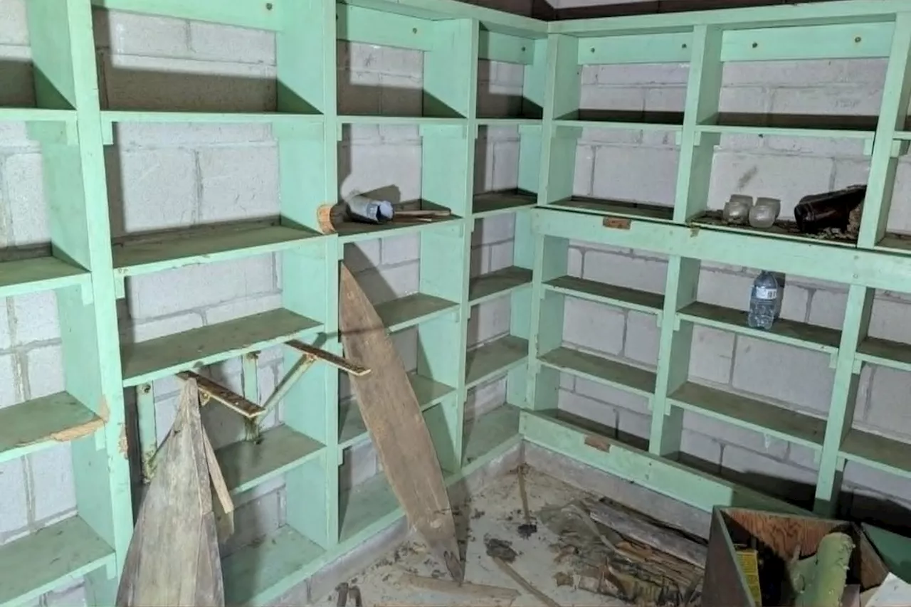 Birch Bark and Bomb Shelters: Uncovering Cold War Connections