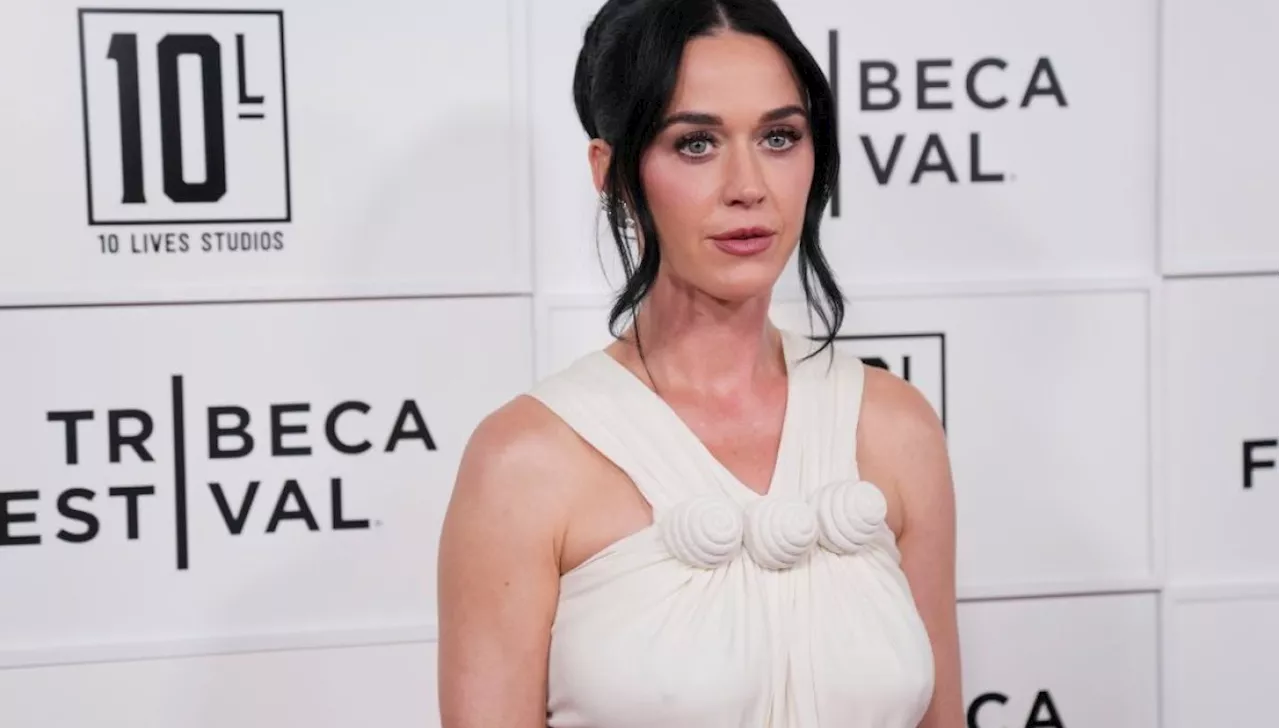 Katy Perry vs. The White House: The Battle Over 'Firework' and Military Imagery