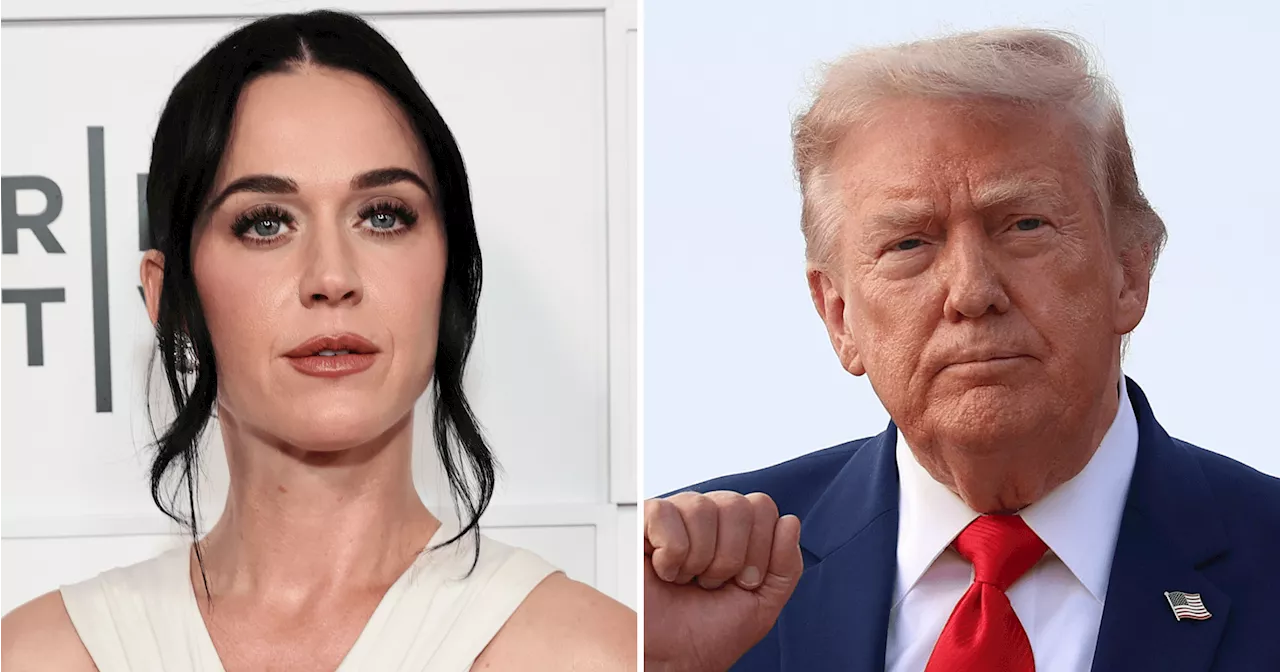 Katy Perry vs. The White House: The Battle Over 'Firework' and Military TikToks