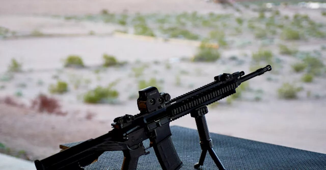 Third Circuit's New Jersey Ruling: A New Shield for AR-15s?