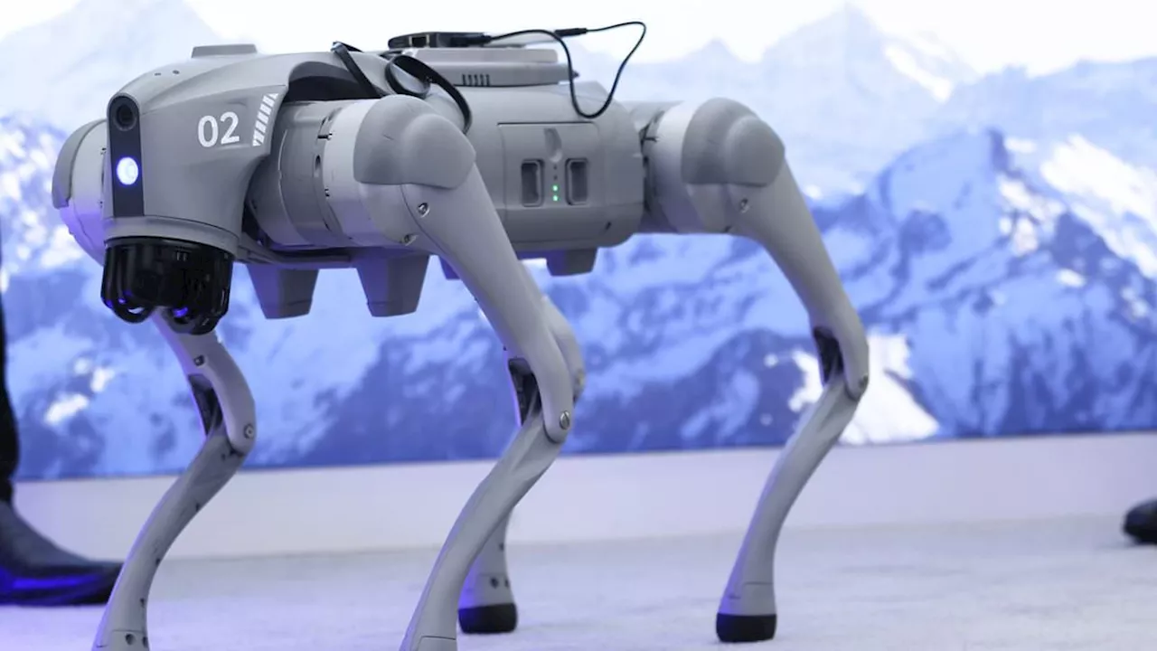 Poochie's Pre-Flight Patrol: TCS Brings 'Physical AI' to the Tarmac