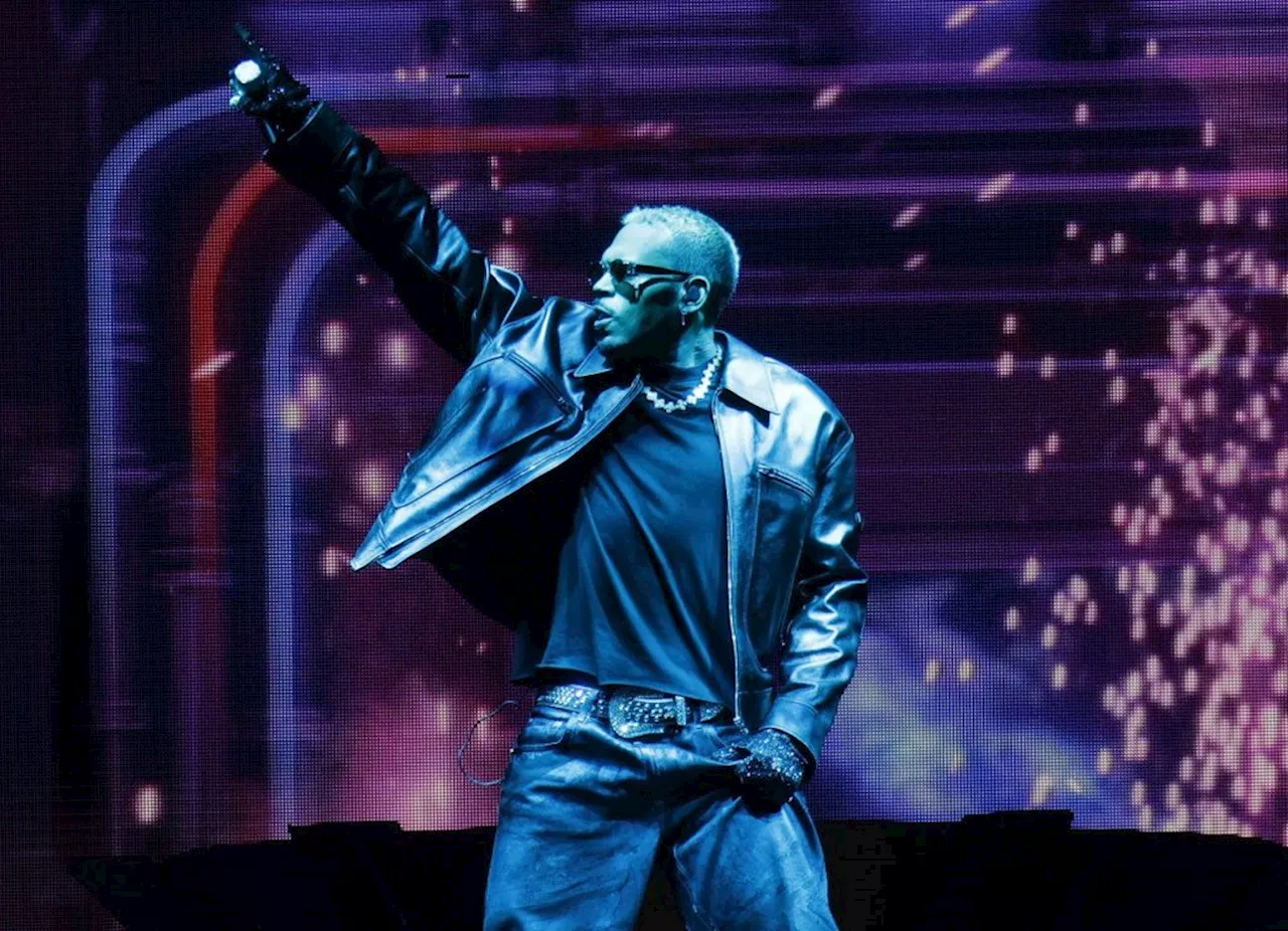 Chris Brown’s R&B Tour Profits Targeted in $13M Dog Attack Judgment Fight