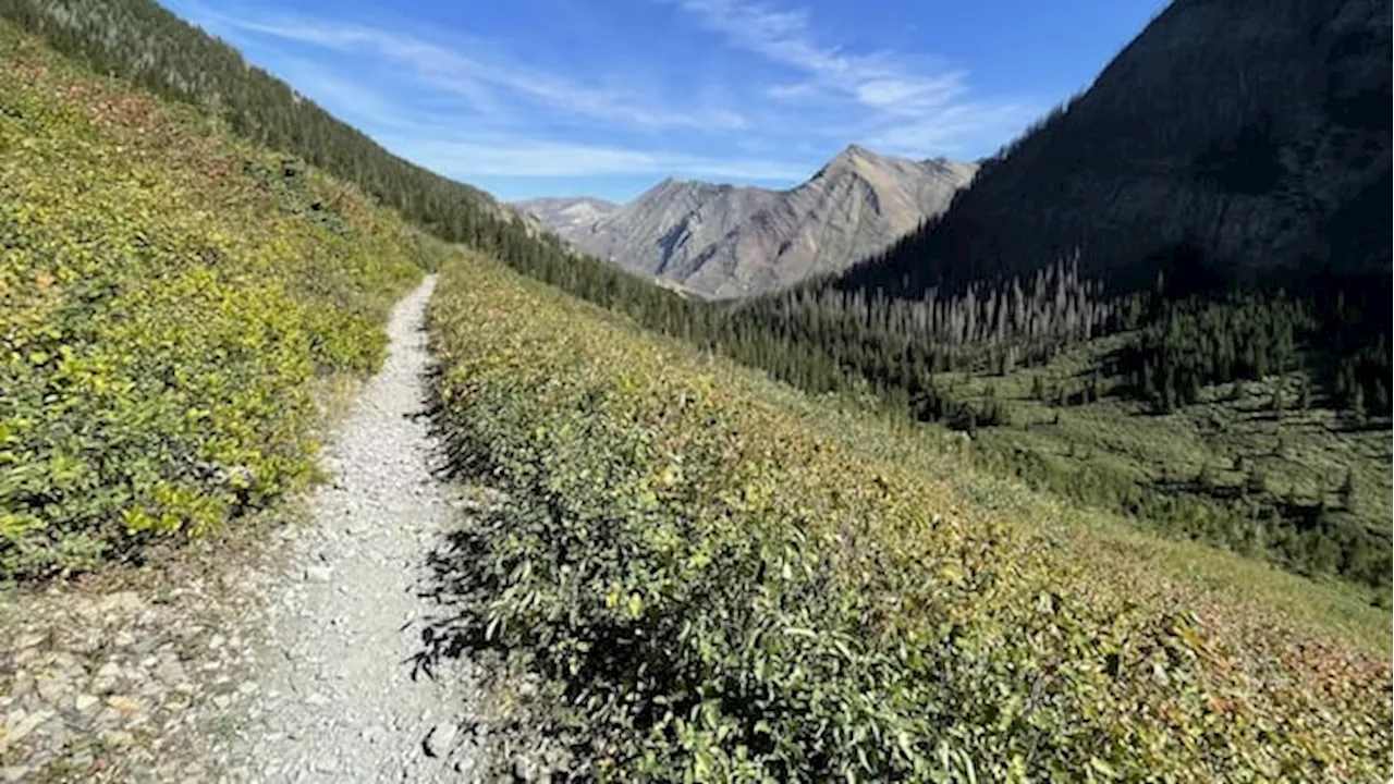 Search efforts underway in Waterton Lakes National Park for missing 81-year-old hiker
