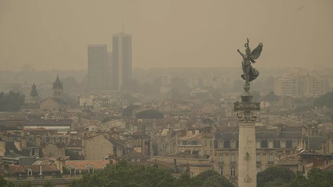 Fire, Fear, and Theft: The Devastation of the Bordeaux Wildfires