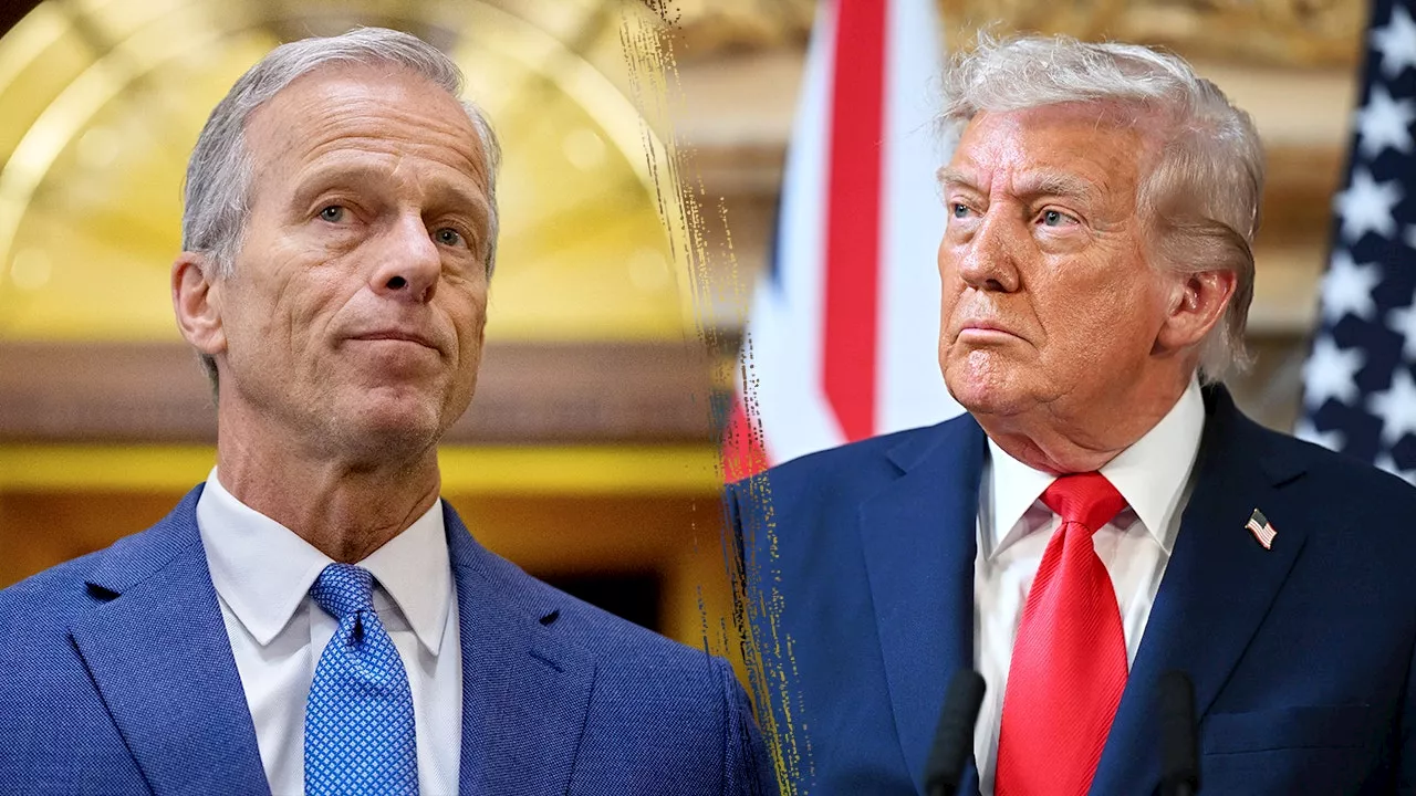 Trump’s Legislative Blitz Meets a Sidelined Mitch McConnell