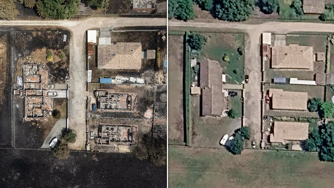 France's 2026 Wildfire Crisis: A Landscape Transformed by Fire