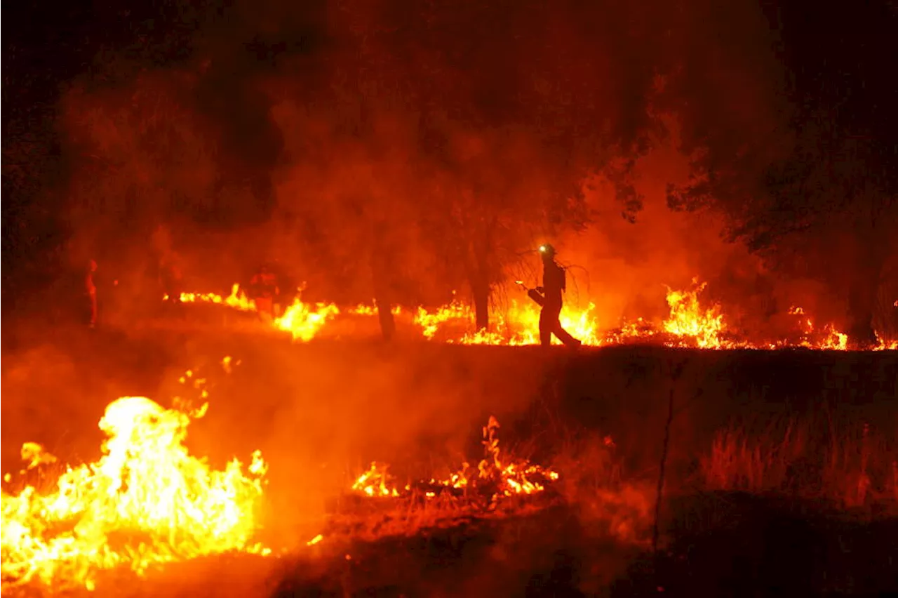 Europe's Scorched Summer: The 330,000-Person Exodus in Spain and France