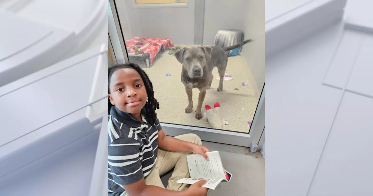 The 100-Hour Reader: How Nehemiah Turner is Transforming Shelter Life in Jacksonville