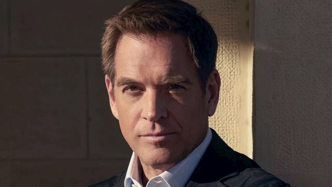 The NCIS Renaissance: Harmon, Weatherly, and LL COOL J Lead a Massive 2026/27 Shakeup